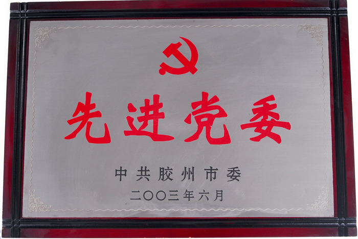 公司榮譽(yù)